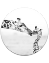 Giraffen, zwart-wit